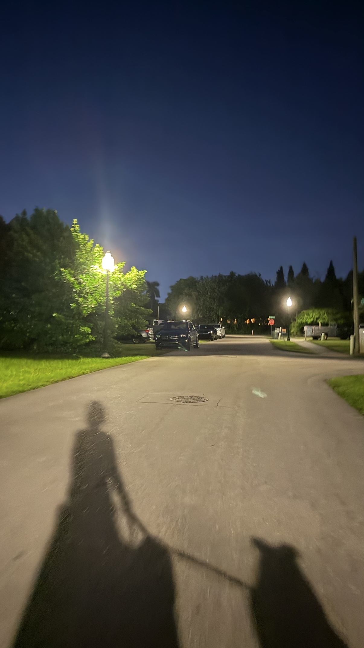A quiet nighttime street with the silhouette of a woman walking her dog
