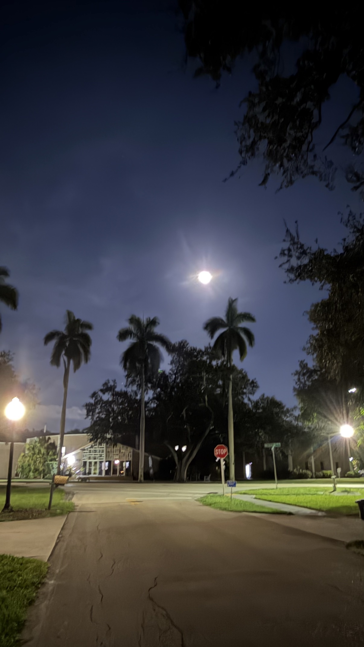 The full moon above the tops of palm trees